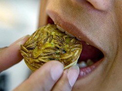 5 Budaya Kuliner Makan Cacing yang Unik di Berbagai Negara