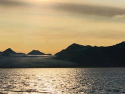 Bioma Tundra: Pengertian, Ciri, Ekosistem dan Contoh