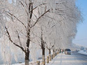 Potret Cantik Jilin di China yang Jadi Cluster Baru COVID-19 Potret Cantik Jilin di China yang Jadi Cluster Baru COVID-19