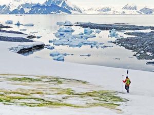 Ilmuwan Ungkap Gambaran Antartika Tanpa Es Ilmuwan Ungkap Gambaran Antartika Tanpa Es