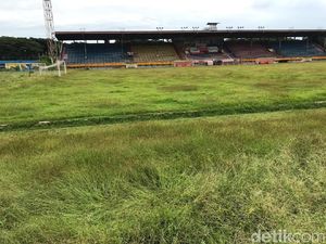 Kandang PSM: Nyaris Tak Lolos Verifikasi, Ada Anaconda, Ditanam Sayur