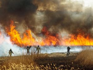 Video Kebakaran Hutan di Siberia Akibat Suhu Panas Esktrem Video Kebakaran Hutan di Siberia Akibat Suhu Panas Esktrem