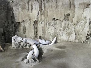 60 Fosil Mamut Raksasa Ditemukan di Lokasi Proyek Bandara Baru Mexico City