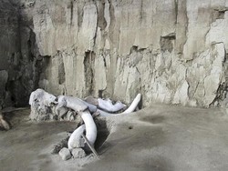 60 Fosil Mamut Raksasa Ditemukan di Lokasi Proyek Bandara Baru Mexico City