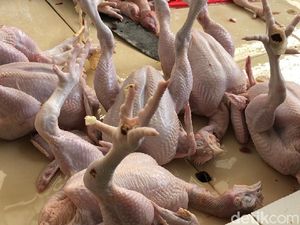 H-1 Lebaran, Harga Ayam Tembus Rp 60.000/Ekor