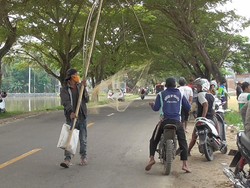 Sawah di Polman Masih Terendam Banjir, Warga Ramai-ramai Tangkap Ikan