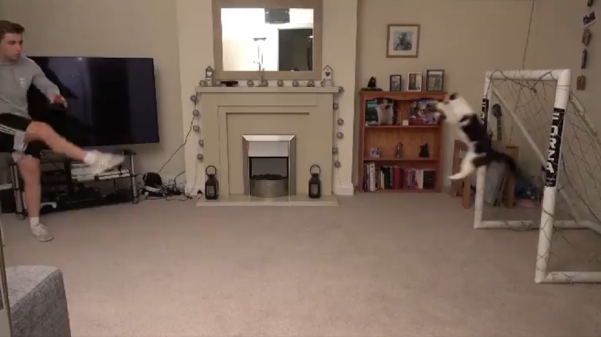 Aksi Meownuel Neuer di bawah mistar. (Foto: Twitter @chrismd10)