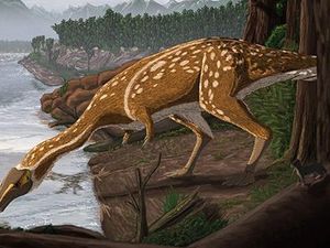 Fosil 200 Juta Tahun Buktikan Dinosaurus Berjalan seperti Ayam