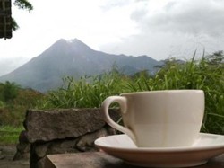 Sedap, Ngopi Sambil Lihat Merapi
