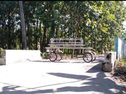 Unik, Keranda Jenazah Jadi Portal Desa di Ponorogo