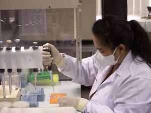 Respons Kekebalan yang Lemah Jadi Tantangan Pengembangan Vaksin Corona