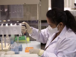 WHO Rilis Daftar 17 Kandidat Vaksin Corona Potensial yang Memasuki Uji Klinis