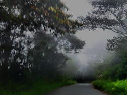 BMKG: Selama 3 Hari, 9 Daerah di Sulteng Akan Alami Hujan Lebat