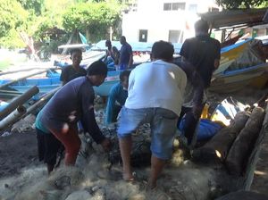 Sederet Vitamin Jokowi Buat Petani dan Nelayan, Apa Saja?