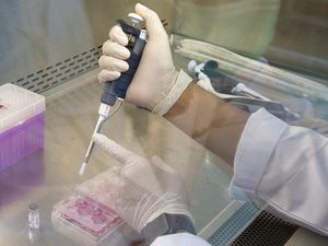 Indonesia & Korea Bikin Vaksin Corona, Uji Coba Juni