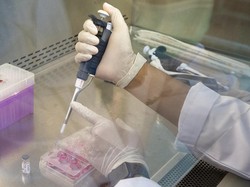 Indonesia & Korea Bikin Vaksin Corona, Uji Coba Juni