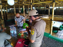 Pengelola Protes Restonya di Puncak Ditertibkan Satpol PP: Kayak Koboi