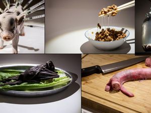 Foodies, Ayo Kunjungi 5 Museum Makanan yang Seru Ini!