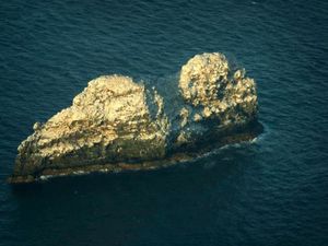 Studi Terbaru: Gunung Berapi Terbesar di Dunia Ditemukan di Hawaii