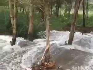 Gelombang 6 Meter Sapu Daratan Pacitan, Sebuah Kios Tepi Pantai Rusak