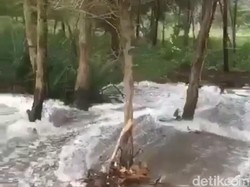 Gelombang 6 Meter Sapu Daratan Pacitan, Sebuah Kios Tepi Pantai Rusak