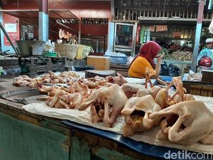 Masih Mahal, Harga Daging Ayam Tembus Rp 40 Ribu di Kota Probolinggo