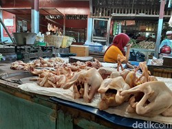 Masih Mahal, Harga Daging Ayam Tembus Rp 40 Ribu di Kota Probolinggo