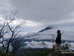 5 Pilihan Homestay di Wonosobo dengan View Gunung Sindoro 5 Pilihan Homestay di Wonosobo dengan View Gunung Sindoro