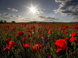 Lansekap Indah Jerman di Tengah Pandemi Corona