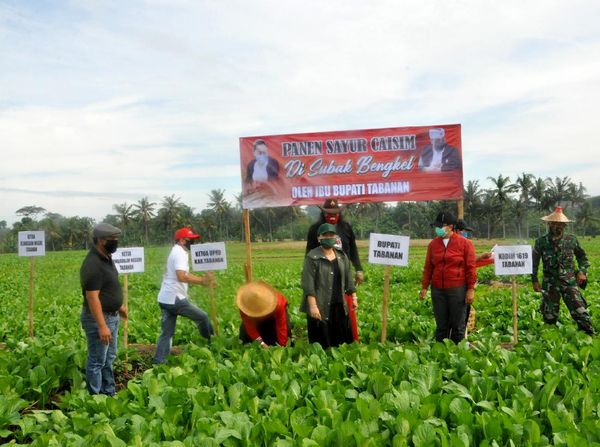 Borong Hasil Panen di Tengah Pandemi Demi Petani