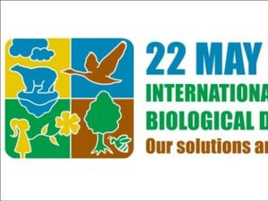 Biodiversitas, Ekosentrisme, dan Kemanusiaan