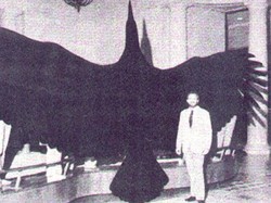 9 Hewan Raksasa yang Pernah Berdampingan dengan Manusia