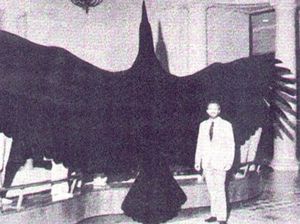 Argentavis, Burung Raksasa Sebesar Pesawat Cessna Argentavis, Burung Raksasa Sebesar Pesawat Cessna
