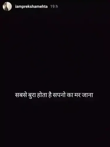 Instagram Story Preksha Mehta