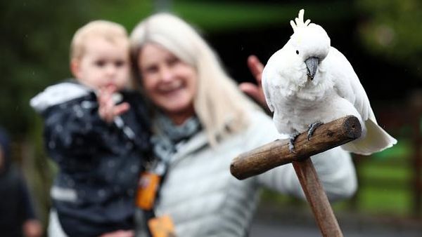 Kebun Binatang di Selandia Baru Kembali Dibuka untuk Umum
