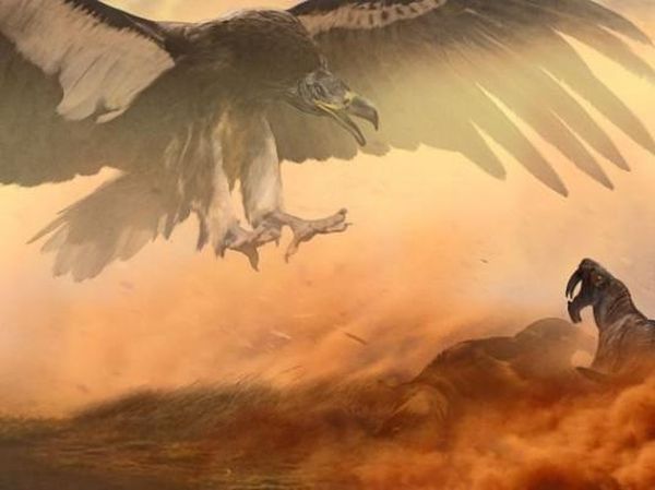 Ini Burung Raksasa Menakjubkan yang Pernah Menghuni Bumi