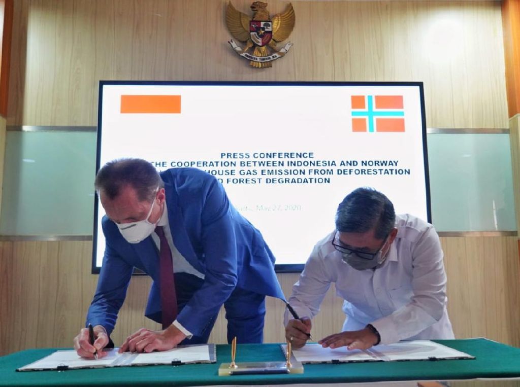 Kemitraan RI-Norwegia, Deforestasi Hutan & Gambut Turun 3 Tahun Terakhir Kemitraan RI-Norwegia, Deforestasi Hutan & Gambut Turun 3 Tahun Terakhir
