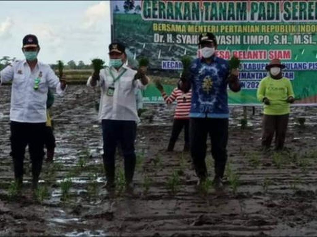 Mensukseskan Cetak Sawah Mensukseskan Cetak Sawah