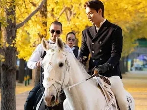 Lee Min Ho Kirim Apel dan Wortel Untuk Kudanya di The King: Eternal Monarch Lee Min Ho Kirim Apel dan Wortel Untuk Kudanya di The King: Eternal Monarch