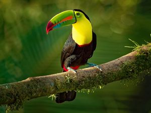 Belize yang Juga Membuka Gerbang Internasionalnya Belize yang Juga Membuka Gerbang Internasionalnya