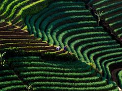 Foto: 5 Wisata Alam Buat Kamu yang Mudik ke Jawa Barat