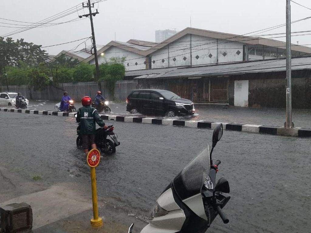 BMKG Sebut Hujan Deras hingga Angin Kencang Landa Sejumlah Wilayah Jatim BMKG Sebut Hujan Deras hingga Angin Kencang Landa Sejumlah Wilayah Jatim
