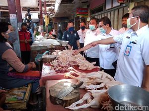 Satgas Pangan Probolinggo Selidiki Harga Daging Ayam yang Masih Mahal