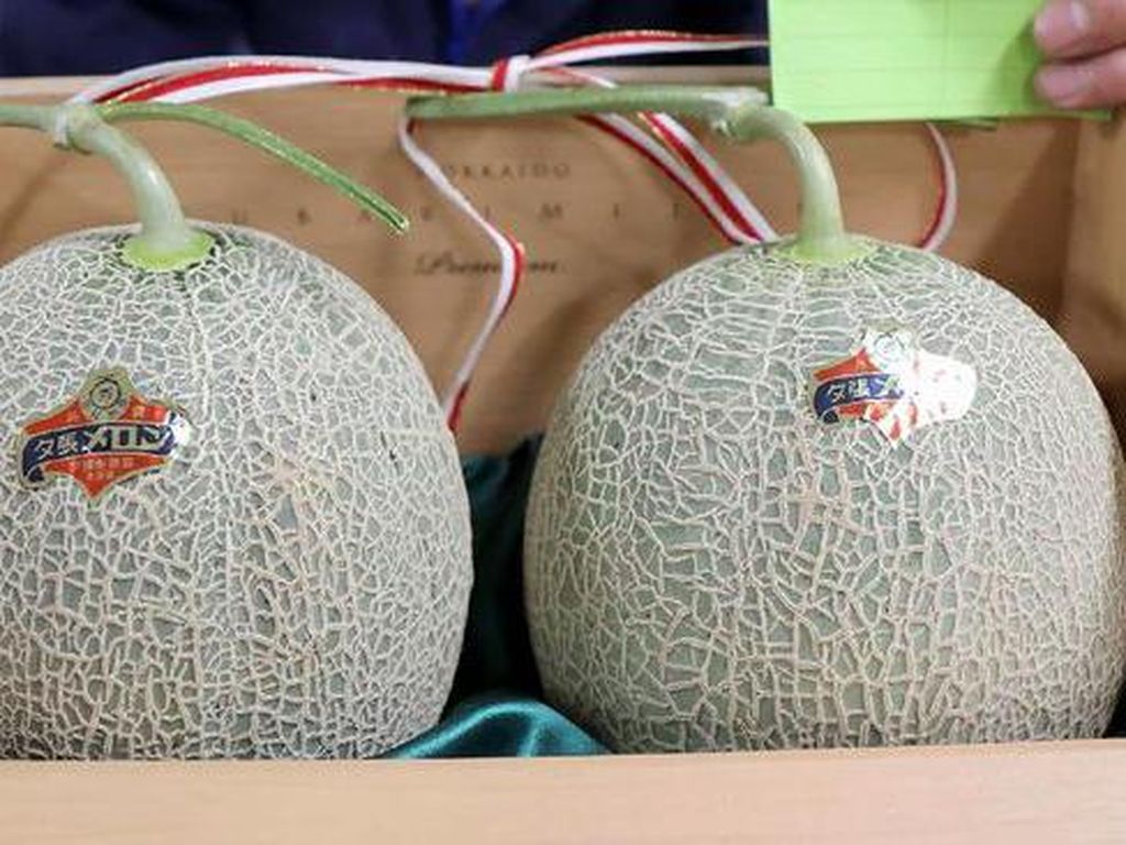 Dampak COVID-19, Melon Yubari Tak Lagi Jadi Buah Termahal