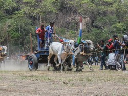 Mengenang Serunya Festival Gerobak Sapi di Prambanan
