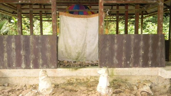 Foto: Telur Spesial di Raja Ampat