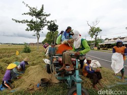 Nilai Tukar Petani & Nelayan Masuk Indikator Pembangunan 2021