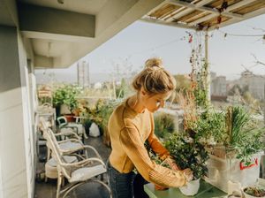 7 Manfaat Berkebun untuk Kesehatan Jiwa dan Raga 7 Manfaat Berkebun untuk Kesehatan Jiwa dan Raga