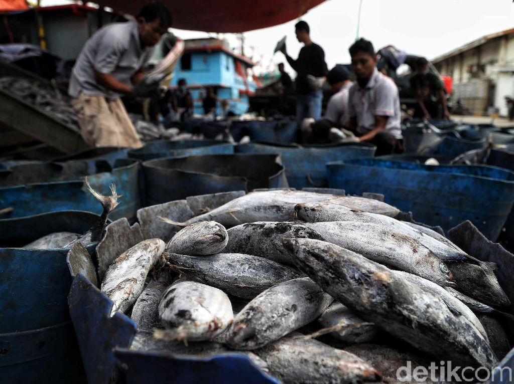 KKP Pamer Capaian Kerja Ruang Laut Berdasarkan Ekonomi Biru KKP Pamer Capaian Kerja Ruang Laut Berdasarkan Ekonomi Biru