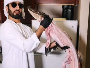 Chef Arab Masak Buaya Utuh hingga Curhat Ojol Antre Lama di Restoran